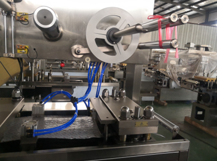 DPB-250C Flat Plate Auto Blister Packaging Machine