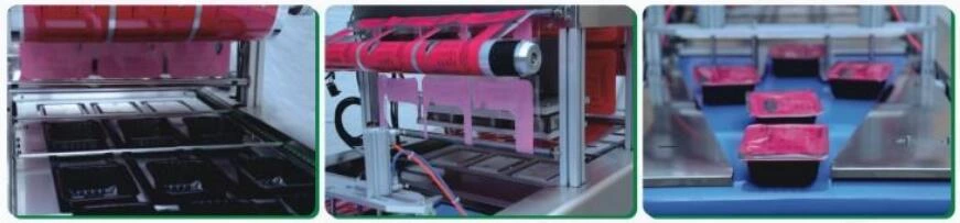 Continuous Modified Atmosphere Packaging Machine For Fruits