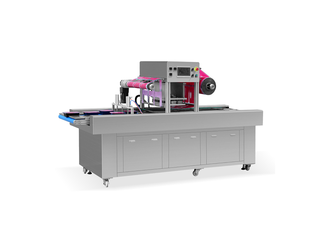 Ryw650-e Continuous Modified Atmosphere Packaging Machine For Fruits