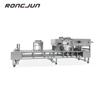 RJBG-910 Box Filling Andsealing Machine