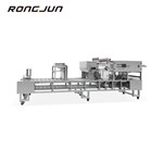 RJBG-910 Box Filling Andsealing Machine