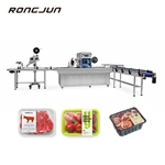 RYW750-E Continuous Modified Atmosphere Packaging Machine