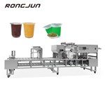 RJBG-910 Box Filling Andsealing Machine