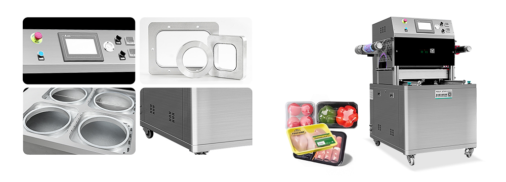 RYL370-V VERTICAL MODIFIED ATMOSPHEREPACKAGING MACHINE