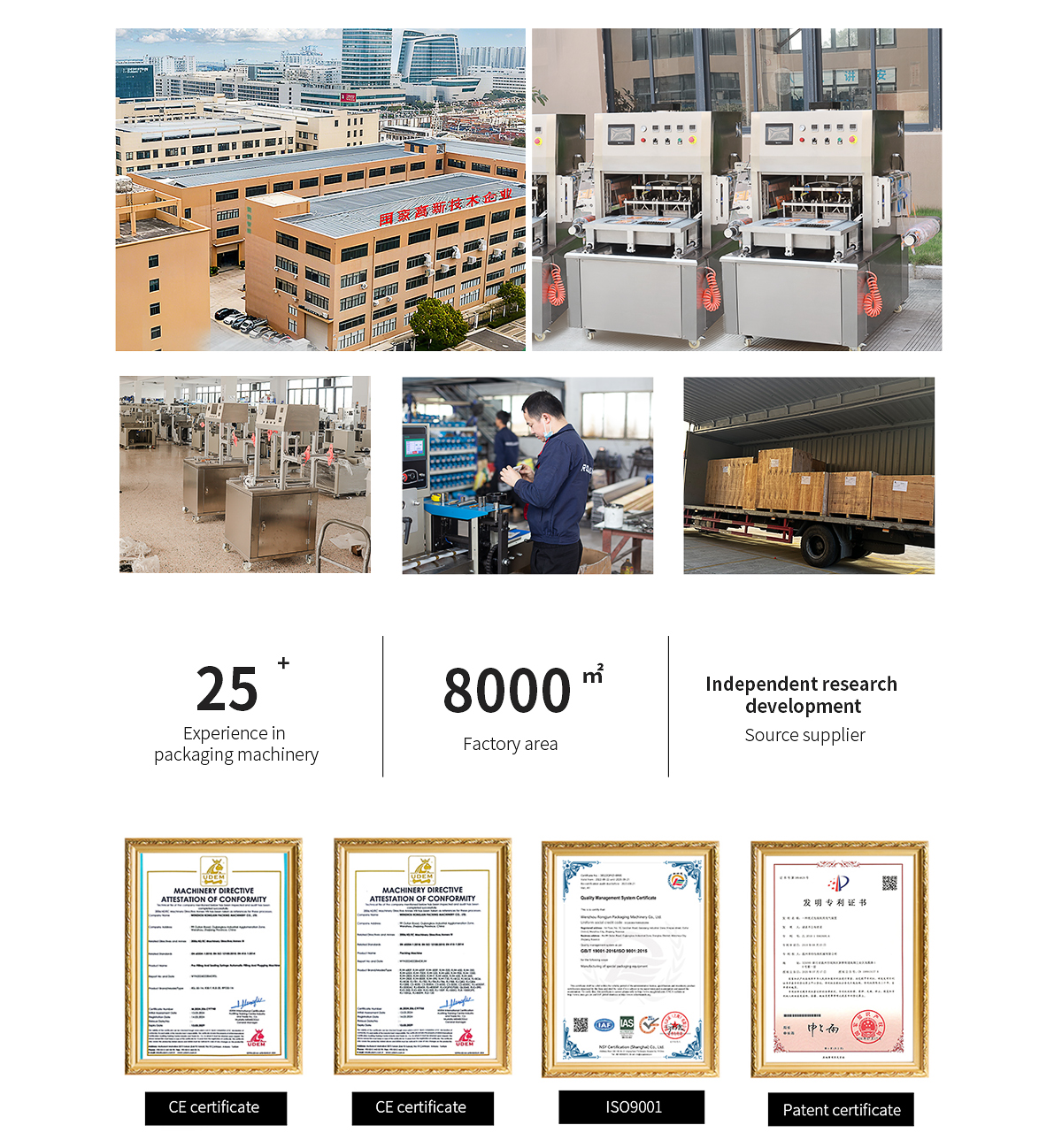 Ryl360-T Skin Packagingmachine