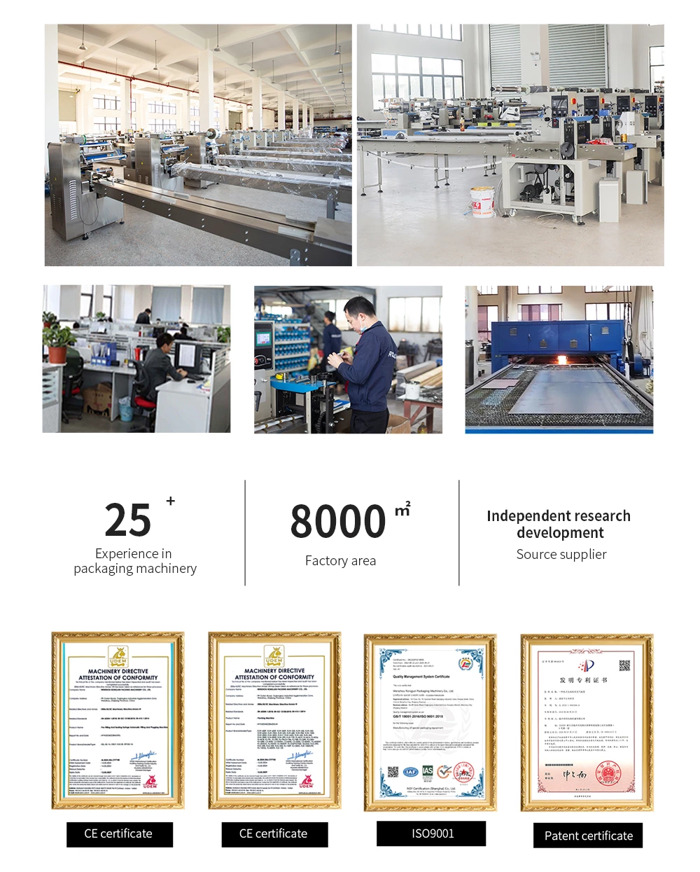 RJW280black  Spray Plastic Servo Hardware Pillow Packaging Machine