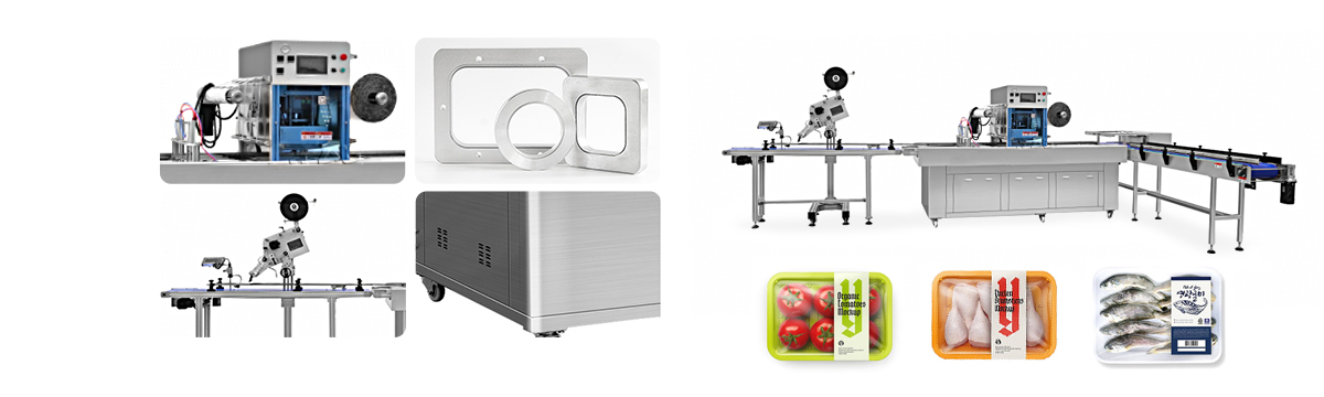 RYW750-E Continuous Modified Atmosphere Packaging Machine