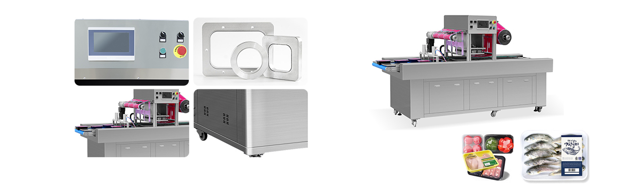 Ryw650-e Continuous Modified Atmosphere Packaging Machine For Fruits