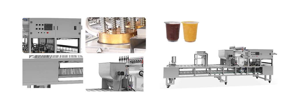 RJBG-910 Box Filling Andsealing Machine