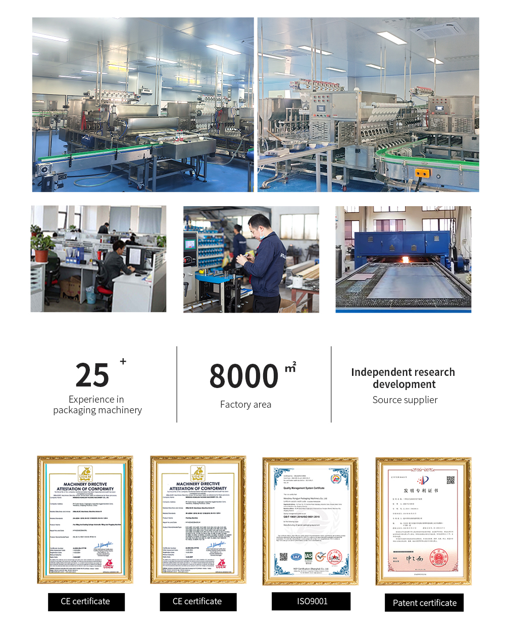 RJZP-00 Fully Automatic Discfilm Sealing Machine