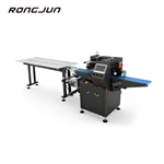 RJW280black  Spray Plastic Servo Hardware Pillow Packaging Machine