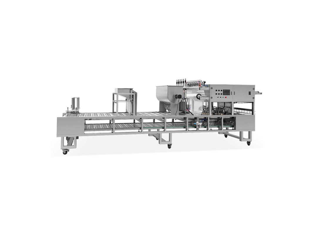 RJBG-910 Box Filling Andsealing Machine